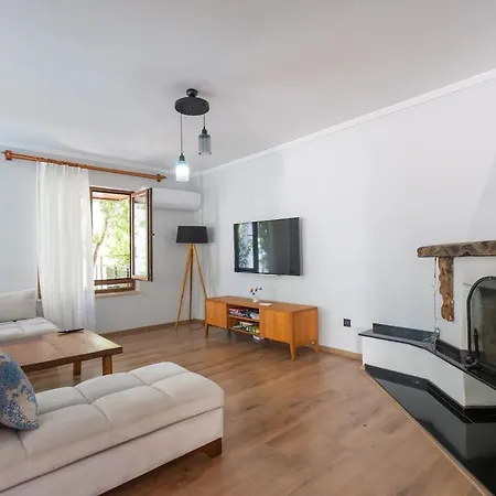 Aslı Daire *